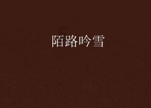 本田xrvusb接口有音频输入功能吗游戏画面
